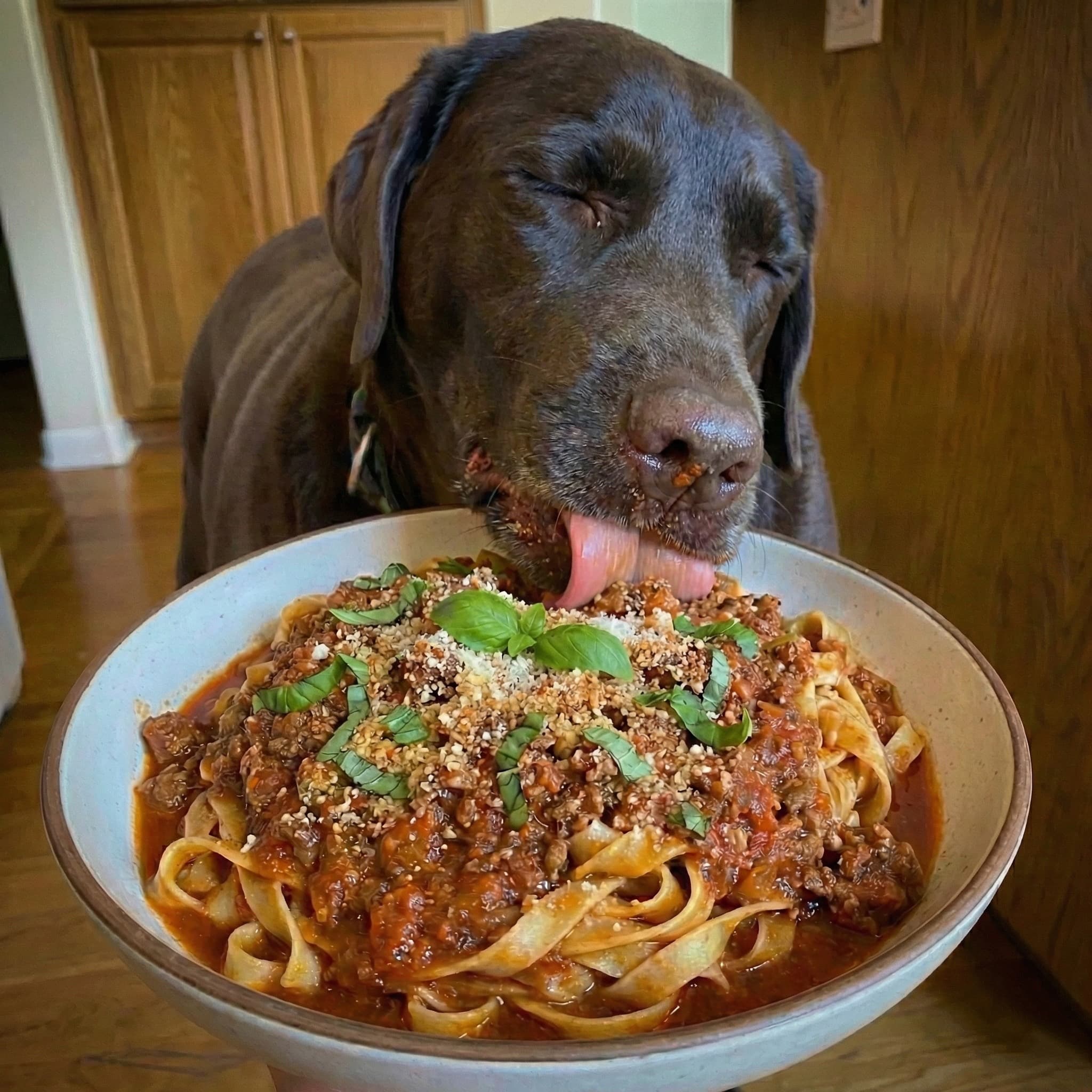 Coco's Famous Ragú Pasta